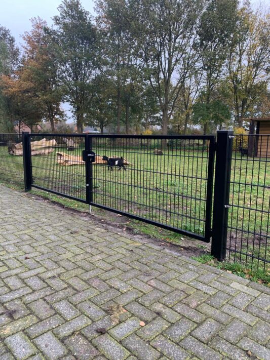 Doppelte Doppelstabmatte Tor Rasenfläche